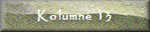 Kolumne 13