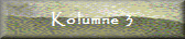 Kolumne 3
