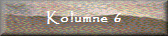 Kolumne 6