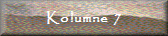 Kolumne 7