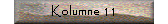Kolumne 11