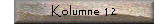 Kolumne 12