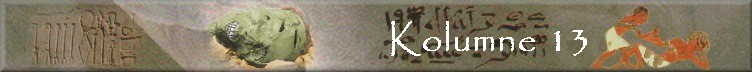 Kolumne 13