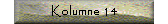 Kolumne 14