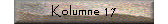 Kolumne 17