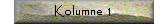 Kolumne 1