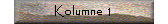 Kolumne 1