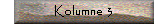 Kolumne 3