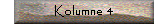 Kolumne 4