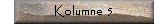 Kolumne 5
