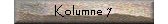 Kolumne 7