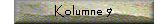 Kolumne 9